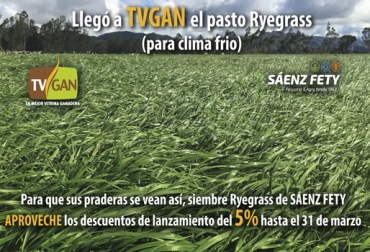 El descuento para adquirir semillas de pasto ryegrass de la empresa Sáenz Fety aplica para todo el mes de marzo. Foto: TVGAN Promoción TVGAN marzo 2019, Promo marzo TVGAN, Promoción TVGAN marzo 2019, TVGAN promociones marzo 2019, TVGAN marzo 2019, Sáenz Fety, TVGAN Sáenz Fety, tvgan promociones, promoción ryegrass TVGAN, equipos ganaderos promociones, Promociones TVGAN marzo 2019, productos ganado promoción, productos finca promoción, promoción TVGAN marzo 2019, productos finca promoción marzo 2019, CONtexto ganadero, ganaderos colombia, noticias ganaderas colombia