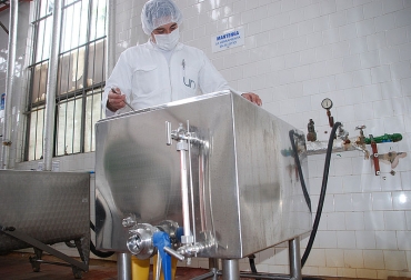 Se trata de péptidos presentes en la leche de todos los mamíferos, aunque su estudio se ha centrado en la de vaca. Foto: Yerly Vargas - Agencia de Noticias UN. Ganadería, ganadería colombia, noticias ganaderas, noticias ganaderas colombia, CONtexto ganadero, Péptidos de leche, resistencia a antibióticos, lactoferricina, proteína de la leche de los mamíferos, péptidos polivalentes, antibióticos, agentes terapéuticos antibacterianos, agencia de noticias universidad nacional, unimedios, universidad nacional