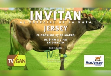 TVGAN y Asojersey invitan a los interesados a comprar ganado de la raza lechera el próximo miércoles 27 de marzo. Foto: Cortesía TVGAN Alianza Asojersey 27 marzo 2019, TVGAN Alianza Asojersey, eventos TVGAN 2019, TVGAN 2019, Asojersey 2019, Asociación Colombia Jersey, Asociación Colombia jersey 2019, comprar ganado Jersey, comercialización de ganado, venta de ganado, venta de bovinos, Fedegán Asojersey 2019, presidente Asojersey 2019, CONtexto ganadero, ganaderos colombia, noticias ganaderas colombia