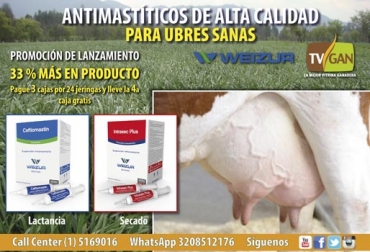 Aproveche la oferta de TVGAN para prevenir la mastitis en sus vacas antes de que se agote. Foto: TVGAN promoción TVGAN marzo 2019, Promo marzo TVGAN, TVGAN promociones marzo 2019, TVGAN marzo 2019, tvgan promociones, promoción antimastíticos TVGAN, antimastíticos TVGAN, medicamentos ganaderos TVGAN, Promociones TVGAN marzo 2019, productos ganado promoción, productos finca promoción, CONtexto ganadero, ganaderos colombia, noticias ganaderas colombia