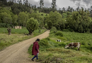 Es importante que haya una relación directa entre universidad y estudiante para que “los emprendimientos pecuarios se pueden lograr. Foto: Grupo Semillas ganadería, ganadería colombia, noticias ganadera colombia, contexto ganadero, emprendimiento, emprender agro, emprender pecuario, emprendedor, sector rural, campo, finagro, banco agrario, sistema financiero, tramitologia, tramites, empresarios, empresa, insegurirdad jurídica, tierras, educación, universidades, profesionales agro, zona de confort, ganaderos, ganaderos Colombia