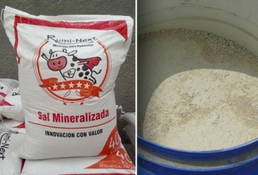 “El Rumi-next se encuentra en dos versiones y se encuentra en dos versiones, una de 40 y otra de 30 kilos pero proteinado”, dijo Fredy Lozano. Foto: Cortesía Rumi-next, producto a base de minerales menores, suplemento con Manganeso y Zinc, producto con Cobre y Yodo, corrige problemas metabólicos, destete, vaca de primer parto, finalización del novillo, CONtexto ganadero, noticias de ganadería colombiana.