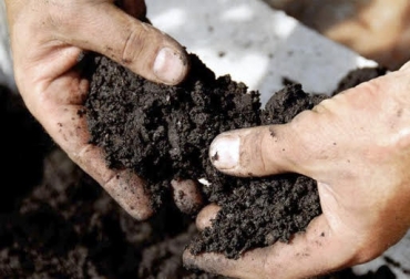 Las heces son uno de los elementos fundamentales para el reciclaje de nutrientes en ganadería. Foto: mexico.infoagro.com Ganadería, ganadería colombia, noticias ganadera colombia, CONtexto ganadero, agricultura orgánica, ganadería oorganica, materia orgánica, reciclaje, reciclaje nutrientes, fertilización, productividad, nutrientes, amoniacido, nitrógeno, fuentes de nutrientes, Medio Ambiente, suelo, alimentación ganado, ganaderos, ganaderos colombia, pastos, suplementos