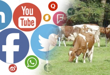 Importancia de vincular redes sociales en los negocios ganaderos. Foto: Social Geek - eldiaonline.com Interacción, whatsapp, público, ganadero, ganadería, sector, implementación, perfil, perfiles, posicionamiento, mercado, estrategia, reconocimiento, marca, producto, servicios, Twitter, Instagram, Facebook, tecnologías, Tablet, mundo, digital, influencers, comentarios, likes, positivos, targeting, target, negativos, CONtexto ganadero, ganaderos Colombia, noticias ganaderas Colombia