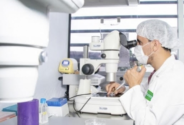 Lanzan programa de mejoramiento genético para pequeños y medianos productores colombianos. Foto: Agrosavia Ganadería, ganadería Colombia, ganaderia colombiana, contexto ganadero, noticias ganaderas, transferencia de embriones, ministerio de agricultura, agrosavia, fedegan, banco agrario, biotecnología para ganaderos, embriones, oocitos, programa genético, mejoramiento genético, ganaderos beneficiados, ganaderos interesados programa genético, ganaderos colombia