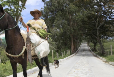 Colombia Rural es el pograma en en el que se pretende realizar mejoramiento y mantenimiento de las vías en Colombia. Foto: mintransporte.gov.co ganadería colombia, Ganadería colombiana, CONtexto ganadero, noticias ganaderas, programa colombia rural, proyecto colombia rural, Gobierno Nacional, ministerio de transporte, Departamento Nacional de Planeación, Invías, Instituto Nacional de Vías, DNP, mejora vías terciarias, mejora vías secundarias, arreglos vías terciarias, gremios se alegran por vías, Alcaldías, convocatoria colombia rural, ganaderos, ganaderos colombia