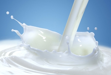 El día mundial de la leche se conmemora para enaltecer la importancia de este producto en la humanidad. Foto. Plano Informativo Ganadería, ganadería colombia, Ganadería colombiana, CONtexto ganadero, noticias ganaderas, leche, Día Mundial de la Leche, dia de la leche, FAO, consumo de leche, consumo de leche en colombia, colombianos no toman leche, leche más barata, leche de vaca, leche de vegetales, bajos niveles de leche, ganaderos, ganaderos colombia, ganaderos colombianos