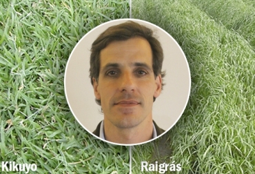 Bargo, PhD en Ciencia Animal, sostuvo que la mezcla de kikuyo y ryegrass es una buena alternativa de alimentación para lecherías especializadas de trópico alto. Foto: ResearchGate - decisionganadera.com.ar - La Rural Semillería Mezcla kikuyo ryegrass, bondades kikuyo lechería, bondades ryegrass lechería, pastos para lechería, pastos trópico alto, Mezclas Pasto ryegrass, Pasto ryegrass, tipos de pasto ryegrass, pasto raigrás, tipos ryegrass, ryegrass Colombia mezclas, CONtexto ganadero, ganaderos colombia, noticias ganaderas colombia