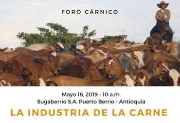 Es de gran importancia que todo los actores se unan para trabajar por un bien común y obtener un buen desarrollo del mercado ganadero. Foto: Cortesia temas, interesantes, proyecto, desarrollando, Colombia, Magdalena Medio, zonas, pequeños productores, ganaderos, Ganadería, créditos a toda maáquina, Foro, gratís, inseminaciones, impactar, clúster cárnico, Comité, sistema de pujas, precios, nivel nacional, regiones, cebador, criador, ceba, poco personal, costos adicionales CONtexto ganadero, ganaderos colombia, noticias ganaderas colombia