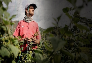 El día del campesino es celebrado en Colombia desde hace pocos años, los pequeños ganaderos quieren más apoyo para su actividad económica.Foto.El Universal Ganadería, ganadería colombia, CONtexto ganadero, noticias ganaderas, campesinos colombia, día del campesino, realidad de los campesinos en Colombia, desigualdad en la ganadería colombiana, campesinos sin recursos, falta de educación en los campesinos, poco apoyo del gobierno a campesinos, necesidades de los campesinos colombianos, poca educación en campesinos, pequeños productores colombia, realidad pequeños productores colombia