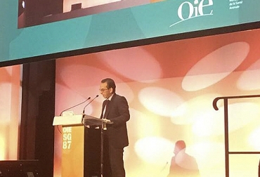 El ministro de Agricultura Andrés Valencia recita su discursión ante la Asamblea de Delegados de la OIE. Foto: minagricultura.gov.co Fiebre aftosa, fiebre aftosa colombia, Ministerio de Agricultura, Instituto Colombiano Agropecuario, fedegan, FNG, Fondo Nacional del Ganado, vacunación ciclo de vacunación, revacunación, ICA, estatus sanitario Colombia, aftosa colombia, certificación libre de aftosa con vacunación, Asamblea OIE, OIE Animal Health, programa nacional de erradicación de fiebre aftosa, ganaderos, CONtexto ganadero, ganaderos colombia, noticias ganaderas colombia