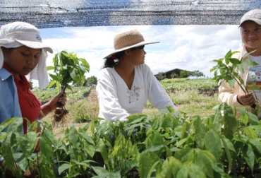 Las mujeres rurales realizan actividades totalmente diferentes a las urbanas, por lo que es necesario poner en práctica las normas que expedidas al respecto. Foto: elcampesino.co Mujeres, empoderamiento, Ley 731 de 2002, Colombia, importancia, capacitación, emprendimiento, primera mujer, mujer, ganadera, ganadería, ganadero, óptimas condiciones, resaltar, garantías, capacitación, mejoramiento, calidad de vida, reconocimiento, buena gestión, papel importante, funciones, CONtexto ganadero, ganaderos Colombia, noticias ganaderas Colombia