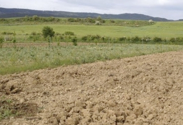 Por su ubicación geográfica, Colombia tiene una variedad de suelos que le permiten una producción variada de alimentos.Foto.Panorama Ganadería, Ganadería colombiana, ganadería colombia, CONtexto ganadero, noticias ganaderas, agricultura, tipos de suelos, suelos en colombia, suelos colombianos, suelos organicos, análisis de suelos, tipos de suelo ganadería, pH del suelo, pasto por tipo de suelo, ganaderos, agricultores, ganaderos colombia, ganaderos colombianos