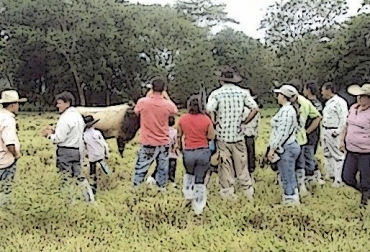 Las asociaciones permiten establecer vínculos para establecer negocios y expandir el mercado. Foto: contextoganadero.com Asociaciones, bondades, ganaderos, problema, integrarse, objetivos definidos, implicaciones, consigo, escuchado, necesidades, individuales, colectivas, no colectivas, poder, convocatoria, representación, personas, proyectos, planes, beneficios, ejecución, ejecutarlos, , CONtexto ganadero, ganaderos Colombia, noticias ganaderas Colombia