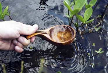 Todos los ganaderos sin excepción deberían implementar las buenas prácticas ganaderas y ambientales. Foto: vinculando.org buen uso del agua, consumo de agua en bovinos, fuentes de agua en fincas, protección de fuentes hídricas, calidad del agua, análisis del agua