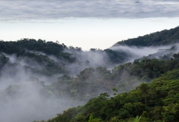 Cerca del 30 % del territorio colombiano pertenece a la cuenca del Amazonas. Foto: cortesía Luis Polo / @luispolofotografía. Ganadería, ganadería colombia, noticias ganaderas, noticias ganaderas colombia, CONtexto ganadero, Crecimiento exponencial de la precipitación inducido por el bosque a lo largo de las líneas de viento climatológicas sobre el Amazonas, Facultad de Ingeniería de la Universidad de Antioquia, bosques tropicales, recargar la humedad del aire, regular el caudal de los ríos, experto en recursos hidráulicos, Juan Fernando Salazar Villegas, cuenca del Amazonas, altas tasas de deforestación, selva amazónica, Plan Nac