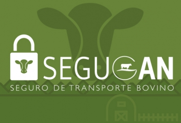 El primer seguro ganadero de Colombia llega de la mano de Fedegán y con el respaldo de HDI Seguros. Foto: segugan.com Segugán, ventajas Segugan, detalles segugan, Seguros en ganadería, seguros ganaderos, seguros transporte ganado, Riesgos de transportar, transporte ganado, transportar ganado, transporte bovinos, transportar bovinos, colombia seguro transporte seres vivos, Colombia transporte animales vivos, Colombia seguro transporte animales vivos, movilización de ganados, ganadería colombia, méxico, argentina, CONtexto ganadero, ganaderos colombia, noticias ganadera