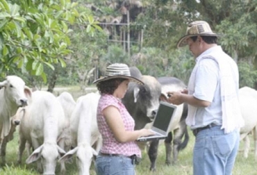 La frecuencia de las visitas técnicas van a depender de la intensidad del sistema de producción de cada explotación. Foto: contextoganadero.com ganaderia, ganaderia colombia, ganaderia colombiana, contexto ganadero, noticias ganaderas, noticias ganaderas colombia, visitas tecnicas, importancia visitas tecnicas, asistencia tecnica, importancia asistencia tecnica, asesorias tecnicas, asesores tecnicos, veterinarios, comvezcol, ganaderos, ganaderos colombia