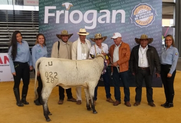 El evento dejó negocios por más de USD 4 millones. Foto: @ufpsocana. Ganadería, ganadería colombia, noticias ganaderas, noticias ganaderas colombia, CONtexto ganadero, agroexpo, agroexpo 2019, agroexpo bogotá, ferias, ferias ganaderas, feria agroexpo, corferias, eventos ganaderos,