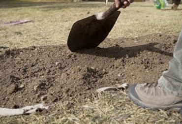 Es importante que los productores pecuarios desarrollen las buenas prácticas ganaderas, preserven de los recursos naturales y desarrollen una actividad pecuaria amigable con el medio ambiente. Foto: parquesalegres.org buenas prácticas del uso del suelo en la ganadería, Buenas Prácticas Ganaderas, uso del suelo en la ganadería, clases de suelo, sobrepastoreo, no hacer quemas