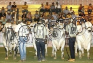 En agosto hay planes ganaderos para todos los gustos. Foto: contextoganadero.com eventos ganaderos en agosto 2019, eventos ganaderos en agosto, ferias ganaderas en agosto 2019, ferias ganaderas en agosto, Feria ganadera de la Primavera Vichada, XXI Feria Expoterneros