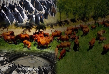La organización de las fincas es uno de los principales elementos a tener en cuenta para un empresario ganadero. Foto: youtube.com: TvAgro - femeninorural.com - gastronomiaycia.republica.com Ganadería, Ganadería colombiana, ganadería colombia, CONtexto ganadero, noticias ganaderas, noticias ganaderas colombia, ganaderia negicio rentable, empresarios ganaderos, ganadería como empresa, formalidad en ganaderia, informalidad en ganaderia, organizacion en ganaderia, rentabilidad en ganaderia, Productividad ganadera, productores como empresarios ganaderos, ganaderos colombia, ganaderos