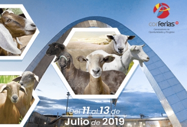 El gremio de criadores de ovinos y caprinos cuenta con una nutrida agenda para todos los días de Agroexpo 2019. Foto: asoovinoscolombia.org Asoovinos Agroexpo, Asoovinos Agroexpo XXII 2019, Asoovinos Agroexpo 2019, ovinos, ovinos colombia, cría de ovinos, Octava Ferina Nacional Asoovinos, Feria Nacional Asoovinos, crecimiento sector ovino, sector ovino Colombia, carne de oveja, leche de cabra, cordero, ganadería colombia, ovinos, caprinos, ganaderos, ganadería, Reino Unido, Brasil, Uruguay, Perú, México, Estados Unidos, Colombia, CONtexto ganadero, noticias ganaderas Colombia, ganaderos Colombia