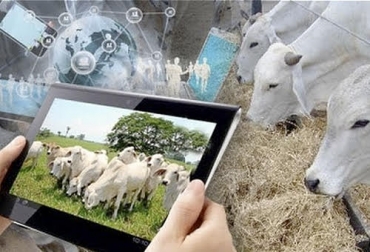 Las nuevas tegnologías y las redes sociales se convertirán en un factor importante para la actividad agropecuaria en un futuro. Foto: youtube.com Ganadería, Ganadería colombiana, ganadería colombia, CONtexto ganadero, noticias ganaderas, noticias ganaderas colombia, ganaderos, futuro ganadero, futuro ganaderia, futuro actividad agropecuaria, tendencias globales ganaderia, tendencias globales agro, redes sociales en el agro, agro, leche, carne, futuro carne, futuro leche, ganaderos futuro
