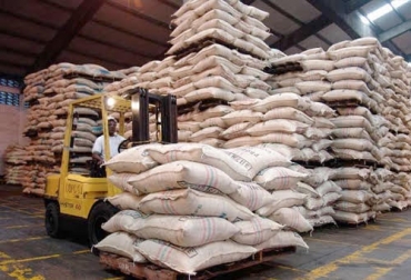 “La producción del grano en Colombia aumentó 5.4% entre enero y julio 2019, versus el mismo periodo en 2018 y totalizó cerca de 8 millones de sacos de 60 kilos”, afirma Valencia Pinzón. Foto: https://www.federaciondecafeteros.org Ganadería, ganadería colombia, Ganadería colombiana, CONtexto ganadero, noticias ganaderas, noticias ganaderas colombia, Café, Café colombiano, exportaciones de acafe, aumento exportaciones de cafe, cafe colombia, incremento cosecha cafe, producción de café, productores de café, aumento cosecha de cafe, cafeteros, cafeteros colombianos, ganaderos, ganaderos colombia