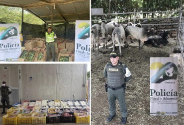 114 consultas han servido de base para la inspección de 740 vehículos que movilizaban 6.183 ganado en pie. Foto: ica.gov.co ganaderia, ganaderia colombiana, ganaderia colombia, contexto ganadero, noticias ganaderas, noticias ganaderas colombia, incautacion productos agropecuarios, carne en cnal, contrabando carne, contrabando, polfa, operaciones polfa, productos agropecuarios, ganaderos, ganaderos colombia