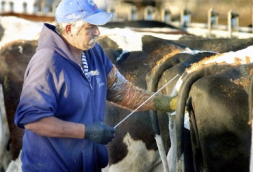 De acuerdo con Suárez, los ganaderos que producen 15 L/vaca al día ya utilizan las biotecnologías. Foto: generalidadesdelaganaderiabovina.blogspot.com Médico veterinario Jorge Ernesto Suárez, servicios médico veterinario, preñar vacas, inseminar vacas, Protocolos de Inseminación, presynch, IATF, inseminación artificial, Protocolo sincronización celos, protocolo sincronización vacas, protocolo sincronización ourofino, inseminación artificial en vacas, mejorar índice de preñez, mejorar días abiertos en vacas, protocolos de sincronización de celos en Colombia, CONtexto ganadero, ganaderos Colombia, noticias ganaderas Colombia