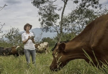 Las bitácoras y los softwares ganaderos son algunos de los medios que puedan usar los productores para almacenar la información. Foto: Cultura Empresarial Ganadera Internacional Ganadería, ganadería colombia, Ganadería colombiana, CONtexto ganadero, noticias ganaderas, noticias ganaderas colombia, manejo información, registro de información, bitacora, software, negocio ganadero, negocio rentable, empresa ganadera