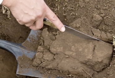 La descripción de los suelos más comunes en el país inicia con los más jóvenes (Entisoles), y termina con los más evolucionados o intemperizados (Oxisoles). Foto: agronet.gov.co tipos de suelos, tipos de suelo en colombia, características del suelo, manejo del suelo, propiedades del suelo