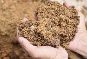 La importancia fundamental de su necesidad en las tierras obedece a que los abonos orgánicos son fuente de vida bacteriana del suelo. Foto: agriculturers.com abonos orgánicos, abonos orgánicos en ganadería, ventajas de los abonos orgánicos, clasificación de los abonos orgánicos, proyecto Ganadería Colombiana Sostenible
