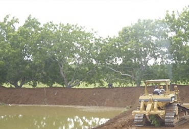 Es importante que los ganaderos generen alternativas que les permitan disponer de agua de buena calidad durante todo el año. Foto: agroenpanama.com cosecha de agua en la finca, disponibilidad de agua en la finca, sistema de recolección de agua en la finca, agua para el ganado, volumen de agua en la finca