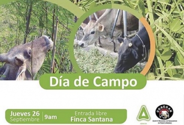 El próximo jueves 26 de septiembre, Corgan realizará un día de campo. Foto: @coreganpuertoberrio Coregan, día de campo de coregan, ganaderos de Puerto Berrio, manejo adecuado de agroquímicos, control de malezas