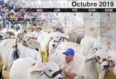 Conozca los eventos ganaderos que se realizarán en el mes de octubre en Colombia. Foto: exposicionnacionalganadera.com - nosovia.com eventos ganaderos de octubre, ferias ganaderas en octubre, giras técnicas ganaderas en octubre, Expoflorencia 2019, días de campo en octubre