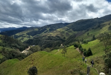 A través de aislamientos de protección, se ha evitado que el ganado llegue a las zonas de páramo o fuentes de agua. Foto: CVC. Ganadería, ganadería colombia, noticias ganaderas, noticias ganaderas colombia, CONtexto ganadero, Páramos, cuidado de los páramos, ganadería en los páramos, cercas vivas, árboles, Sistemas silvopastoriles, CVC, Corporación Autónoma Regional del Valle, Instituto Alexander von Humboldt, Fondo Agua por la Vida y la Sostenibilidad, páramos de Las Hermosas y Chilí-Barragán