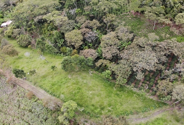 Como una muestra de su compromiso con la conservación de la naturaleza, desde 2010, Fedegán ha venido impulsando uno de sus proyectos más ambiciosos: Ganadería Colombiana Sostenible (GCS). Foto: Cortesia Ganadería Colombiana Sostenible, Banco Mundial, Fedegán, Ministerio de Ambiente, noticias del sector ganadero colombiano, CONtexto ganadero