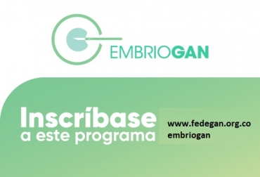 El propósito del programa embriogan de Fedegán es vincular al productor al mejoramiento genético, ofrecerle asesoría, guiarlo en la manera de participar y concretar las acciones que debe realizar en su hato bovino. Foto: Fedegán colombia, fedegán, mejoramiento genético, embriogan, ministerio de agricultura, agrosavia, CONtexto ganadero