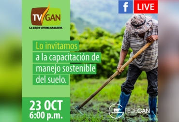 Conéctese en el perfil de Facebook de TVGAN para asistir a esta charla organizada por la vitrina ganadera y Fedegán. Foto: Cortesía Segundo Facebook Live, Capacitación, capacitación en línea, capacitación online, fedegan, TVGAN, Colombia, Escuela de Formación Ganadera de Fedegán, Fedegán capacitación, capacitación Facebook Live, Manejo Sostenible suelo, manejo suelo ganadería, manejo suelo, formación ganaderos, capacitación ganaderos, capacitación ganadería, mejor forma de sembrar, CONtexto ganadero, ganaderos colombia, noticias ganaderas colombia