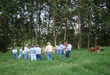 “Al efectuar las 4 fases de la gestión de conocimiento los ganaderos adquieren el aprendizaje necesario”, dijo José De Silvestri. Foto: Fedegán. Reactivan las BTG, inician en zonas de riesgo, gestión de conocimiento, socialización, externalización, combinación, interiorización, sanidad animal, erradicar fiebre aftosa, noticias de ganadería colombiana, CONtexto ganadera.