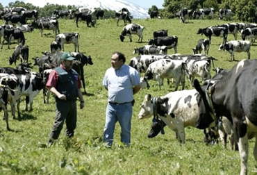 Para MSD, toda ganadería debe ser manejada como empresa, por lo cual se deben establecer principios con una misión, visión y objetivos. Foto: culturaempresarialganadera.org Ganadería, ganadería colombia, Ganadería colombiana, CONtexto ganadero, noticias ganaderas, noticias ganaderas colombia, empresa ganadera, explotaciones ganaderas, ganadería como empresa, MSD, objetivos ganaderos, ganaderos, ganaderos colombia
