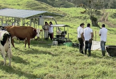 Es fundamental capacitar al personal con una periodicidad sobre temas técnicos y operativos, de tal forma que se aborden otros puntos que impulsen el desarrollo de la finca. Foto: culturaempresarialganadera.org Ganadería, ganadería colombia, Ganadería colombiana, CONtexto ganadero, noticias ganaderas, noticias ganaderas colombia, empresa ganadera, trabajo en equipo ganaderia, capacitacion trabajadores, ganaderos, ganaderos colombia, MSD
