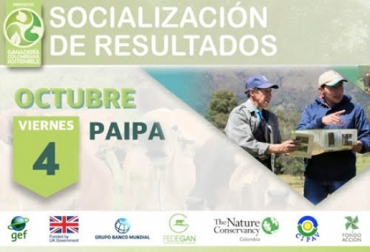 “Tener ganadería sostenible es decirle al mundo que desde Colombia se pueden producir carnes limpias y orgánicas que al mismo tiempo tienen un impacto positivo por la captura de carbono” afirmó José Félix Lafaurie, presidente ejecutivo de Fedegán. Foto: http://ganaderiacolombianasostenible.co ganaderia, ganaderia colombia, ganaderia colombiana, contexto ganadero, noticias ganaderas, noticias ganaderas colombia, ganaderia colombiana sostenible, casos éxito ganaderáa colombiana sostenible, Proyecto CGS, GCS, sistema silvopastoril, reforestacion, medio ambiente, ecosistema, gases efecto invernadero, ganaderos, ganaderos colombia, carnes orgánicas, gases de efecto invernadero, exportaciones de carne