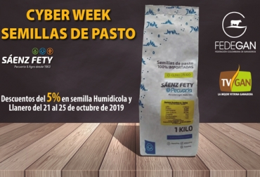 Aproveche esta promoción de TVGAN para comprar semillas con un descuento único. Foto: Cortesía Cyber week TVGAN, compra semillas ganadería, semillas, Segundo Facebook Live, Semillas trópico bajo, promoción TVGAN octubre 2019, promo octubre tvgan, tvgan promociones, Promociones TVGAN octubre 2019, productos ganado promoción, productos finca promoción, productos finca promoción octubre 2019, CONtexto ganadero, ganaderos colombia, noticias ganaderas colombia