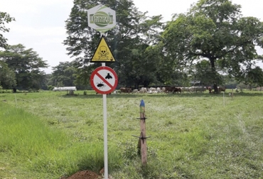 El concepto de biomáquina ya ha sido aplicado en varias ganaderías en Colombia, con grandes ventajas para los propietarios. Foto: facebook.com/labiomaquinacol biomáquina, biomáquina ganadería biomáquina 2019, Nelson Egidio Velásquez Ruiz, biomáquina Colombia, Universidad de Los Llanos, qué es biomáquina, concepto de biomáquina, características de la biomáquina, Ganadería regenerativa, Ganadería Sostenible, CONtexto ganadero, ganaderos colombia, noticias ganaderas colombia