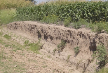 La compactación del suelo es un fenómeno que afecta negativamente diversas propiedades como la estructura, la dinámica del agua y el aire, así como procesos de oxidación reducción y poblaciones de organismos, entre otros. Foto: agrovoz.lavoz.com.ar ganadería, ganadería colombia, gaandería colombiana, contexto ganadero, noticias ganaderas, noticias ganaderas colombia, compactacion del suelo, sistema silvopastoriles, penetracion del suelo, degradacion del suelo, ganaderos, ganaderos colombia