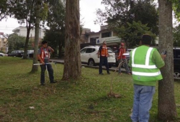 Se recomienda el uso de cerca eléctrica en lugar de alambres, pues disminuye de manera considerable los costos y crea una barrera que el ganado respeta más. Foto: eluniversal.com.mx gaanderia, ganadería colombia, Ganadería colombiana, CONtexto ganadero, noticias ganaderas, noticias ganaderas colombia, árboles, proteccion de arboles, cuidado de arboles, encierros de arboles, franja de arboles, distancia entre arboles, Sistemas silvopastoriles, ganaderos, ganaderos colombia