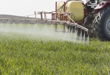 Estos defensivos agrícolas solo deben usarse cuando sean absolutamente necesarios, por lo cual siempre debe realizarse un manejo integrado de plagas y de arvenses. Foto: productivacm.com Ganadería, ganadería colombia, Ganadería colombiana, CONtexto ganadero, noticias ganaderas, noticias ganaderas colombia, defensivos agricolas, uso defensivos agricolas, implementacion defensivos agricolas, ganaderos, ganaderos colombia
